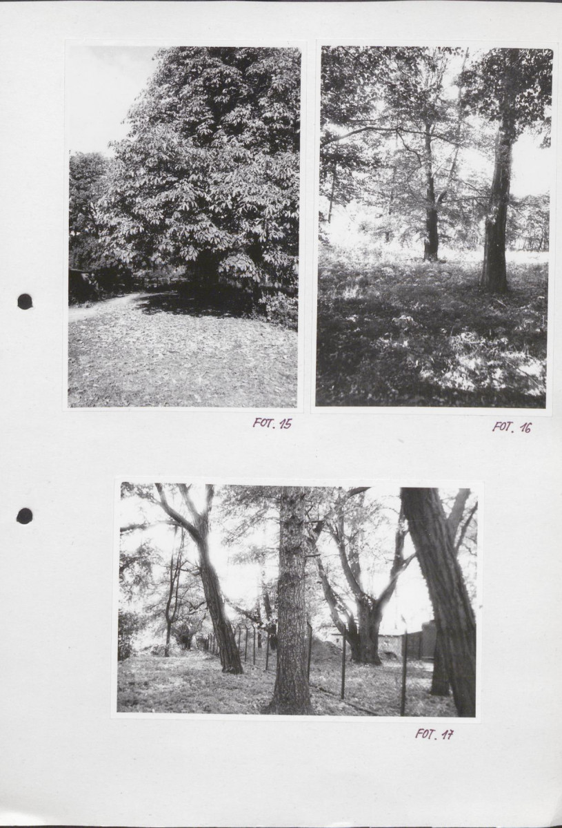 Ewidencja parkowa, skan nr 40