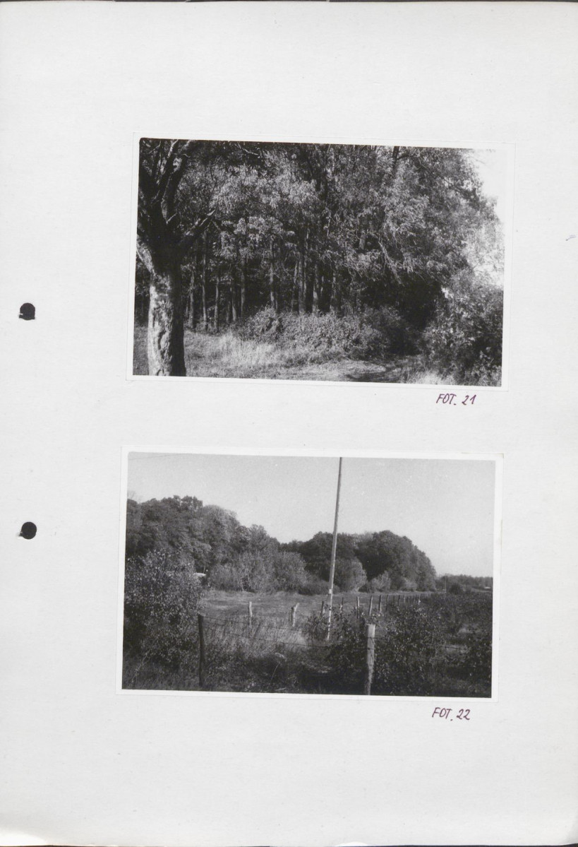 Ewidencja parkowa, skan nr 42