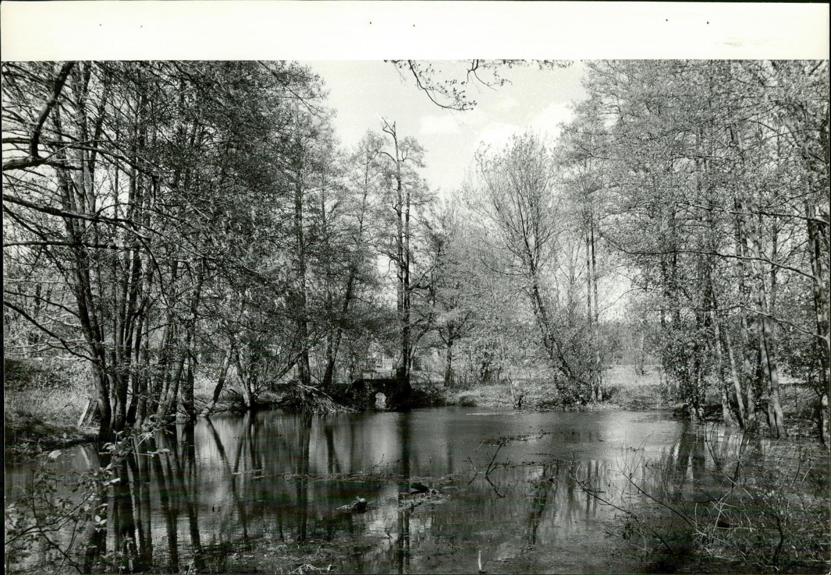 Ewidencja parkowa, skan nr 31