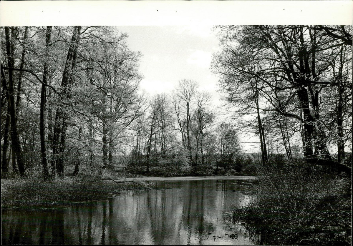 Ewidencja parkowa, skan nr 33