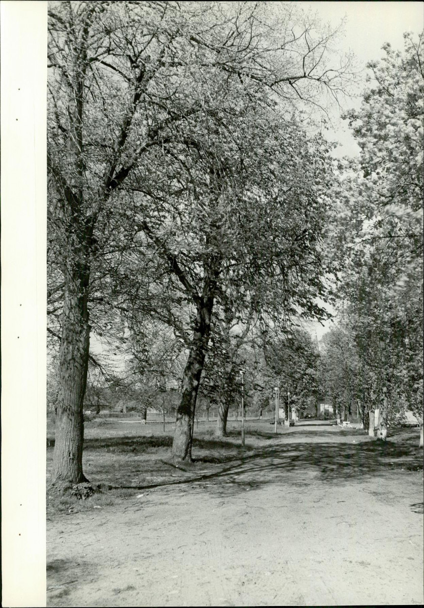 Ewidencja parkowa, skan nr 39