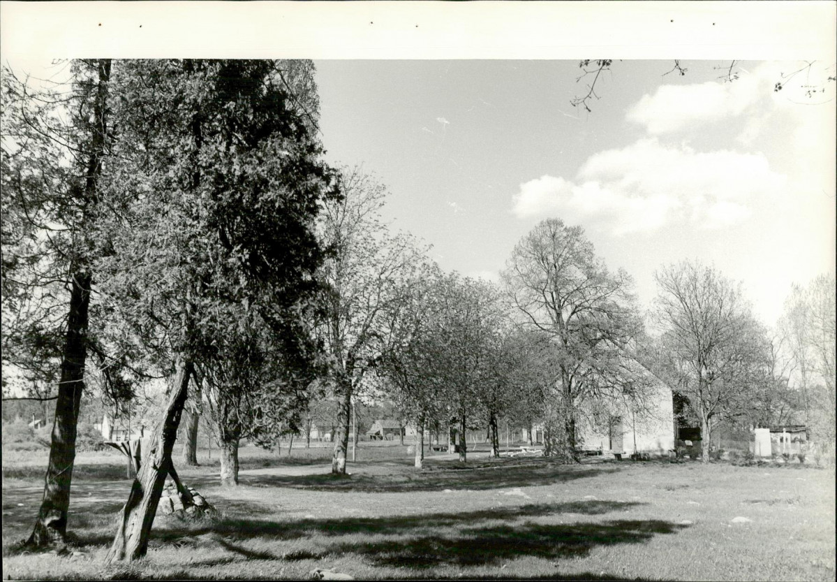 Ewidencja parkowa, skan nr 41