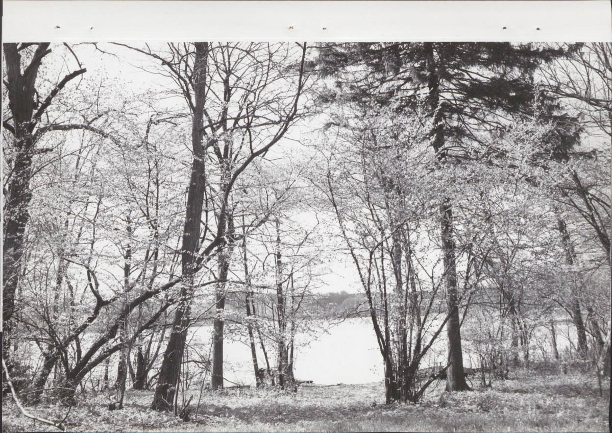 Ewidencja parkowa, skan nr 23