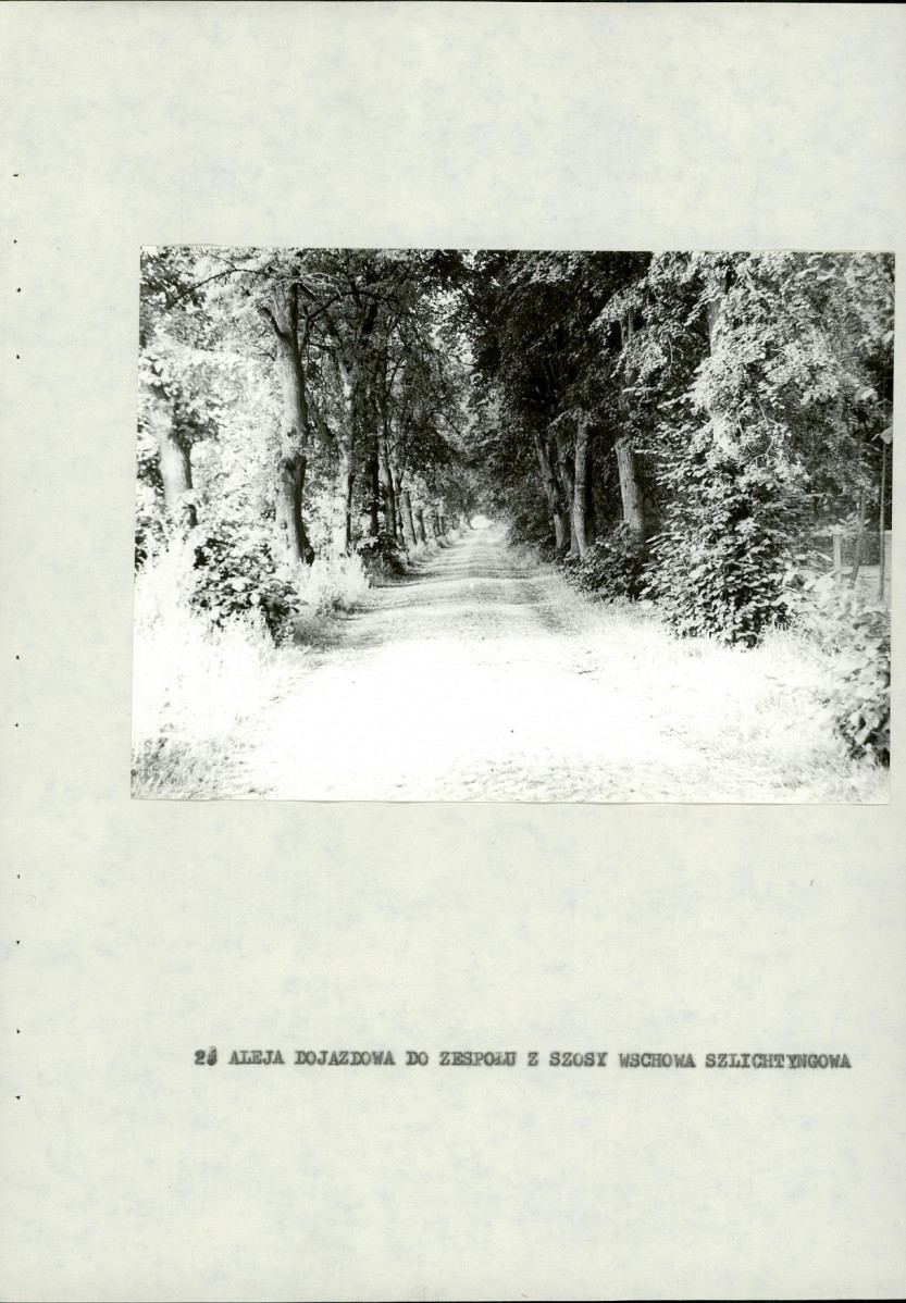 Ewidencja parkowa, skan nr 31