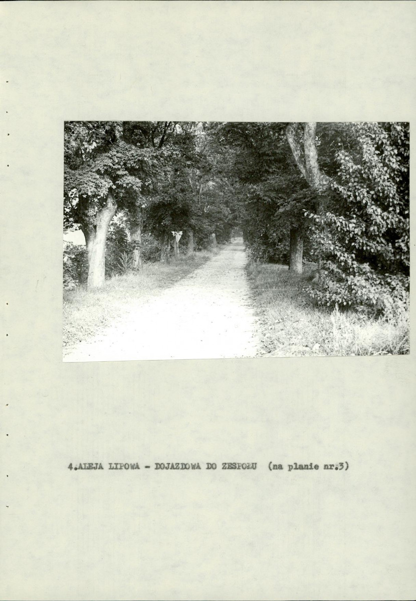 Ewidencja parkowa, skan nr 33