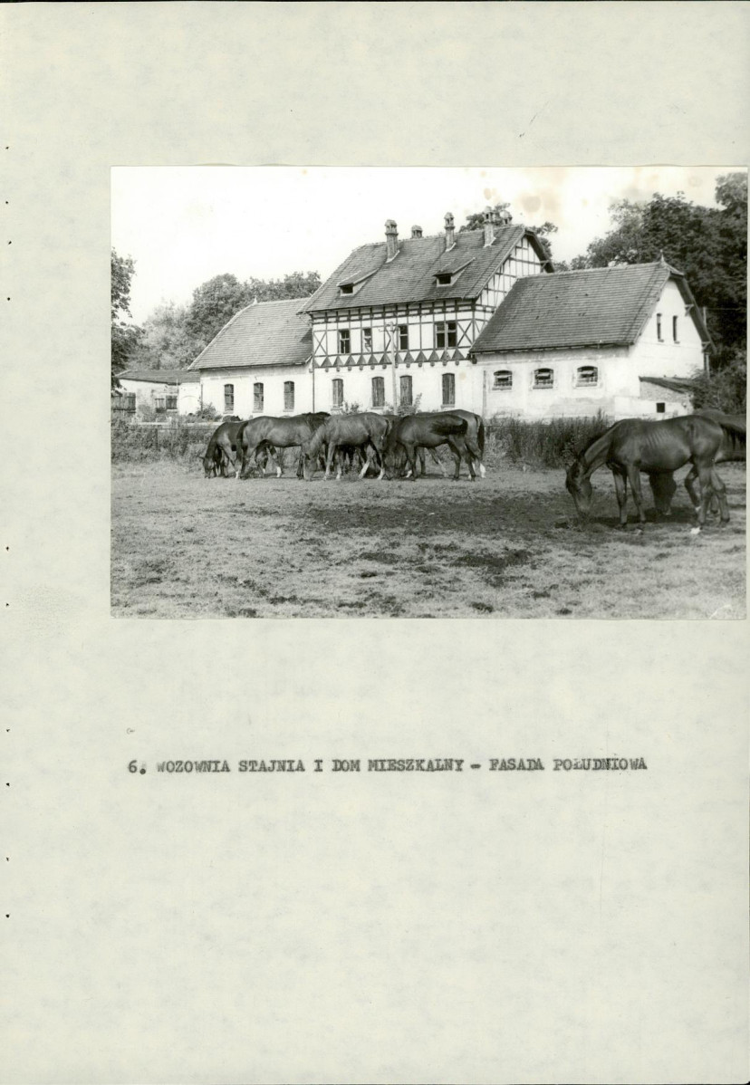 Ewidencja parkowa, skan nr 35