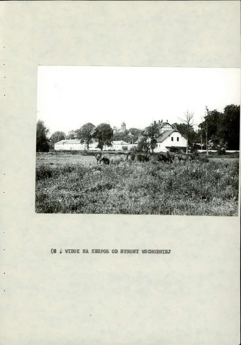 Ewidencja parkowa, skan nr 37