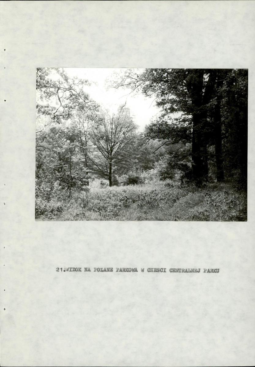 Ewidencja parkowa, skan nr 50