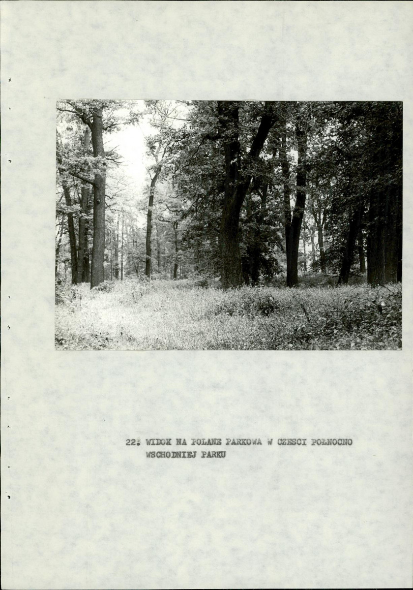 Ewidencja parkowa, skan nr 51