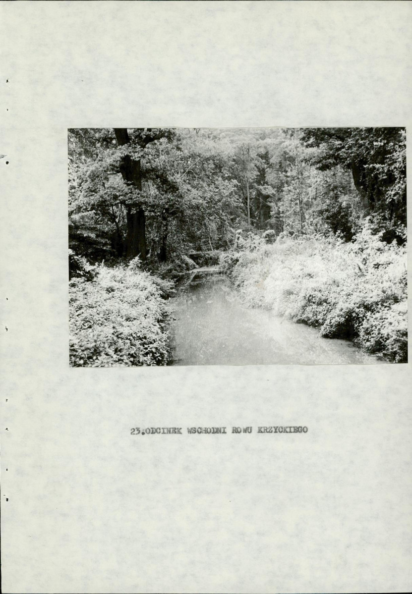 Ewidencja parkowa, skan nr 52