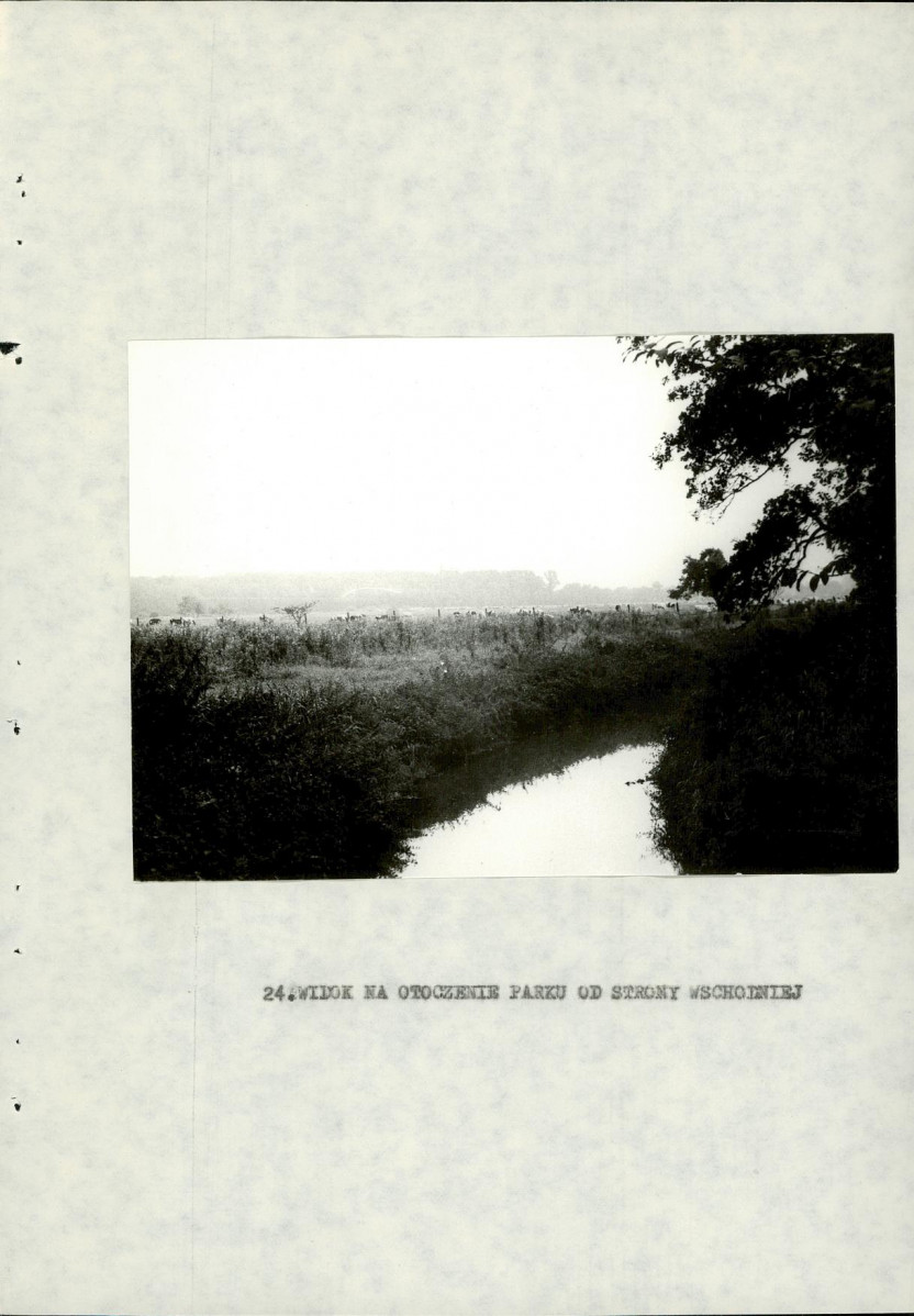 Ewidencja parkowa, skan nr 53