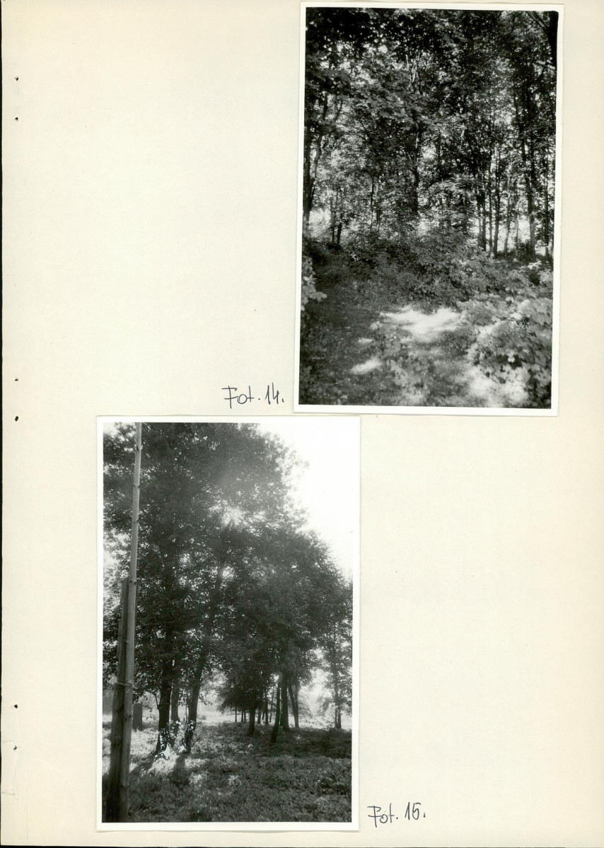 Ewidencja parkowa, skan nr 39