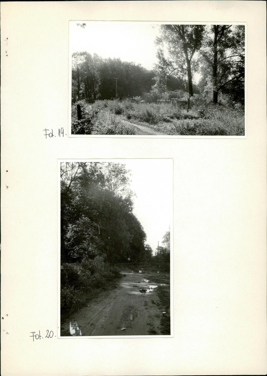 Ewidencja parkowa, skan nr 41