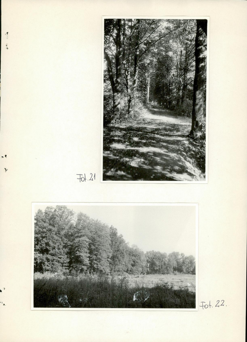 Ewidencja parkowa, skan nr 42