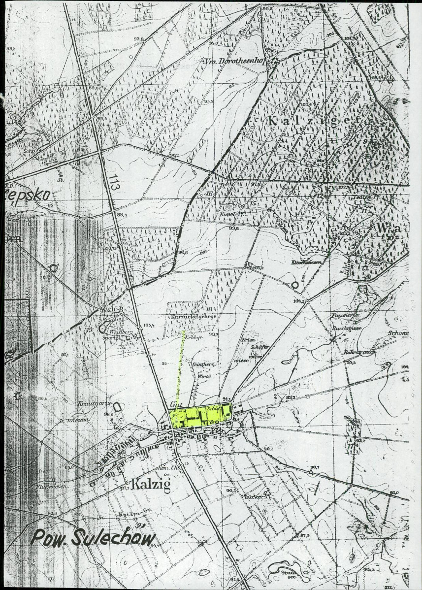Ewidencja parkowa, skan nr 16