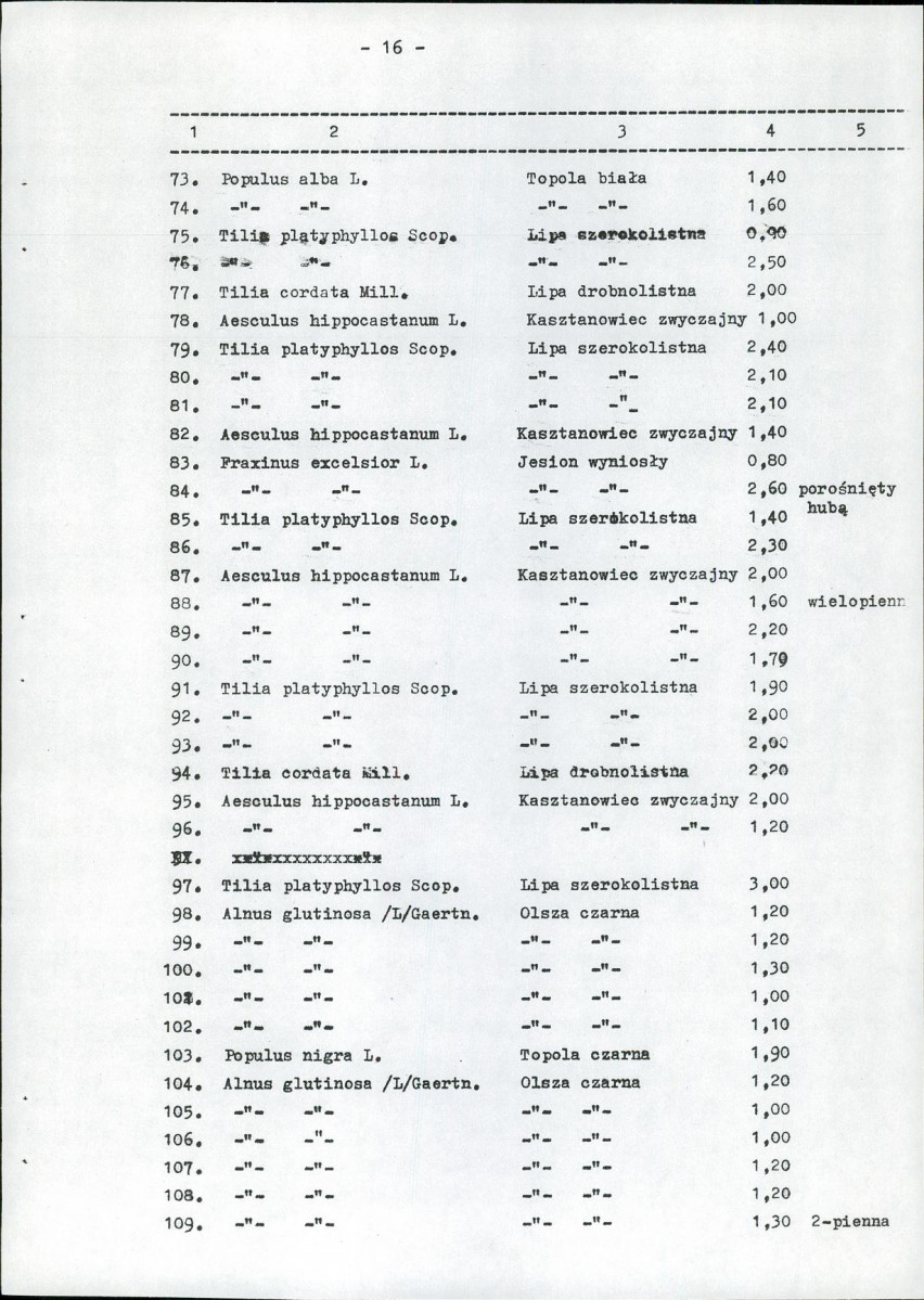 Ewidencja parkowa, skan nr 31