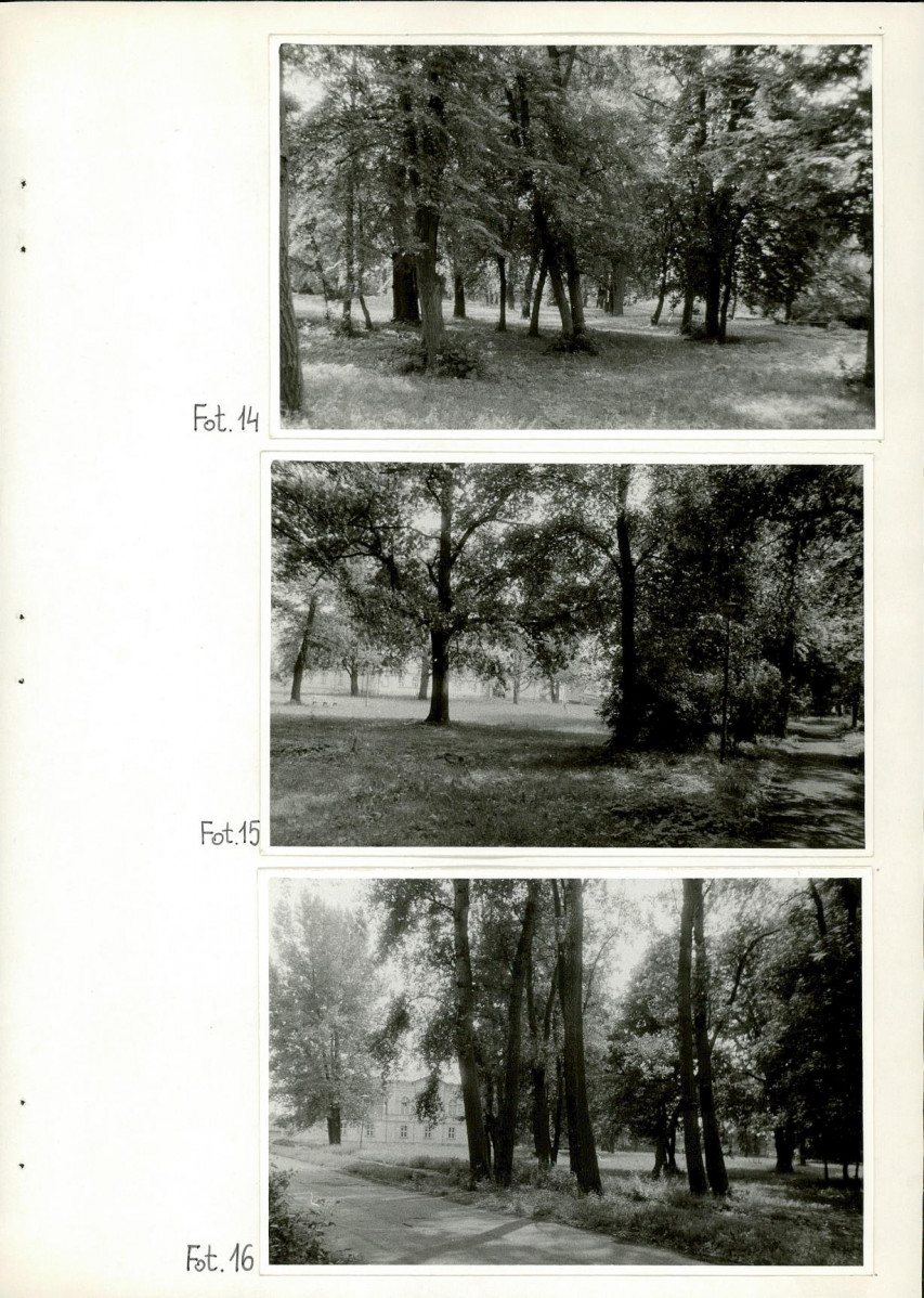 Ewidencja parkowa, skan nr 53