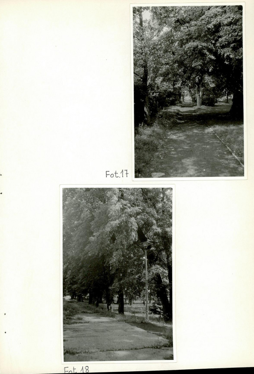 Ewidencja parkowa, skan nr 54
