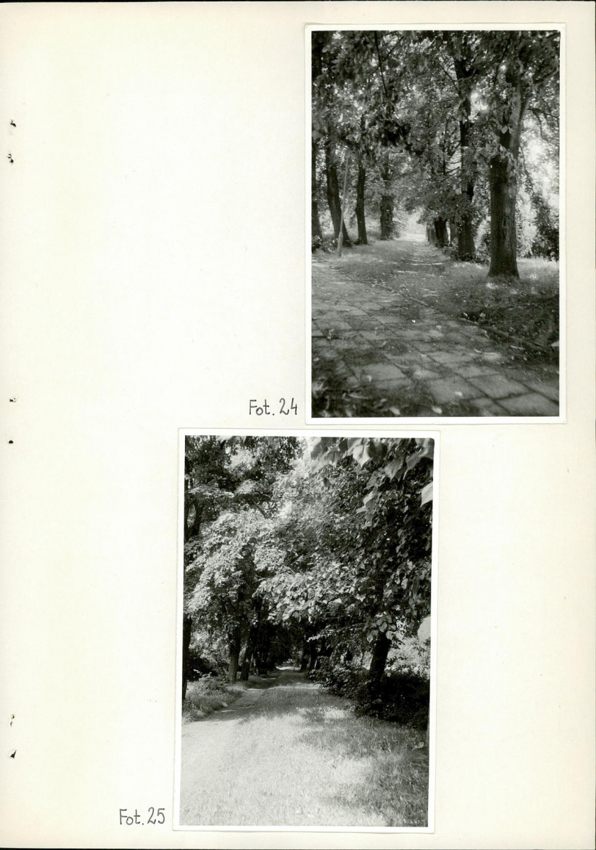 Ewidencja parkowa, skan nr 57