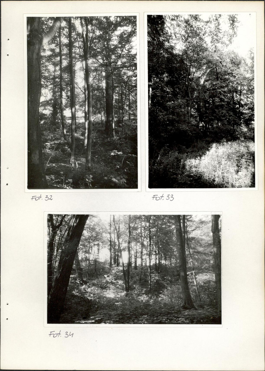 Ewidencja parkowa, skan nr 61