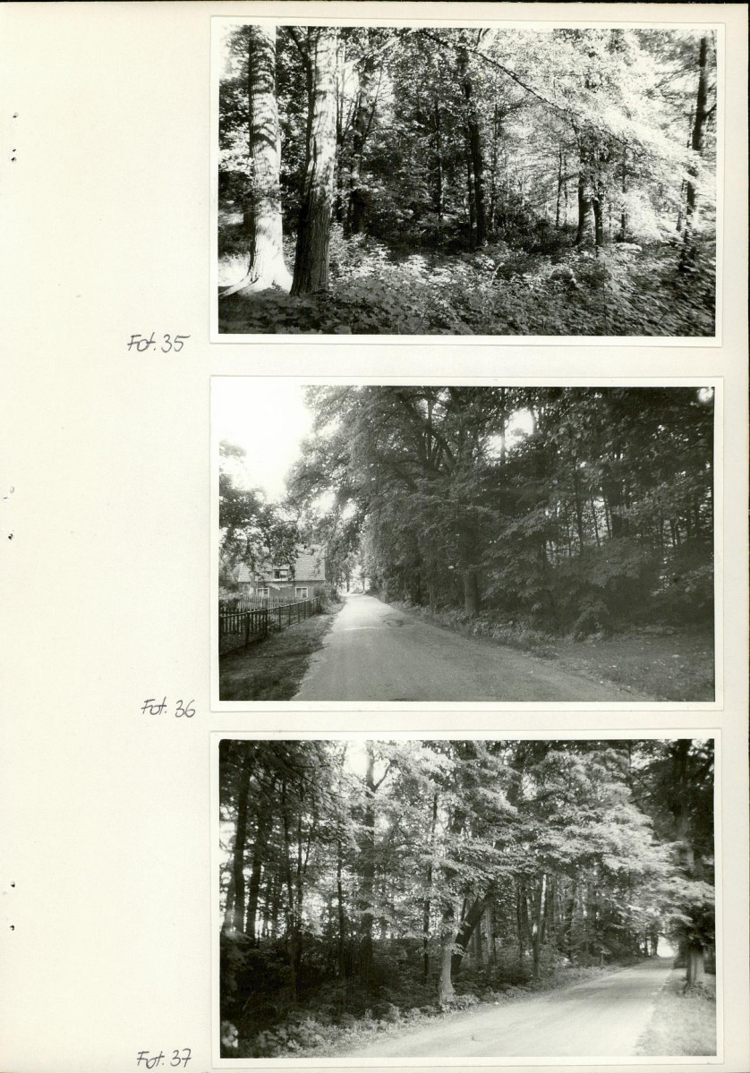 Ewidencja parkowa, skan nr 62