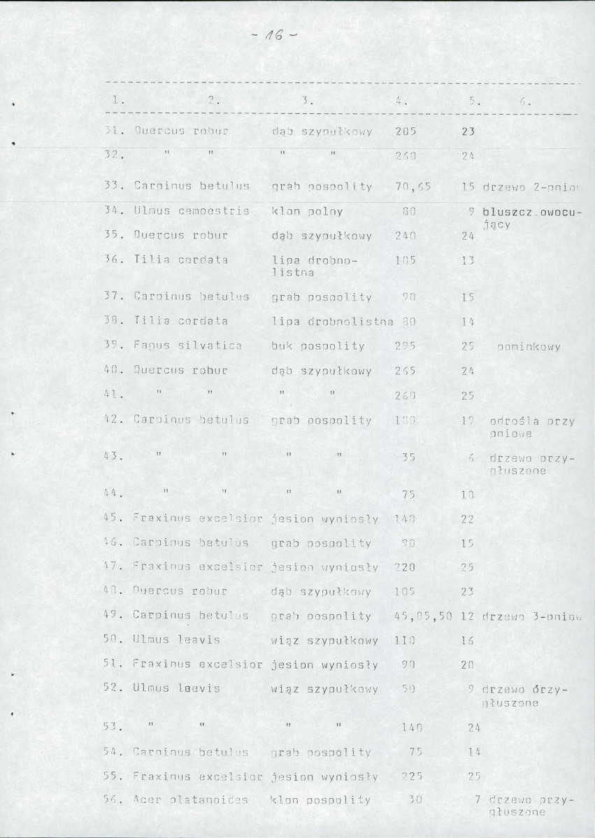 Ewidencja parkowa, skan nr 33