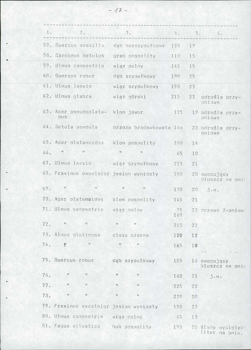 Ewidencja parkowa, skan nr 34