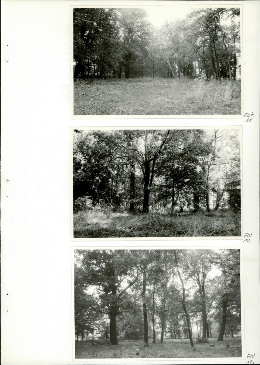Ewidencja parkowa, skan nr 56