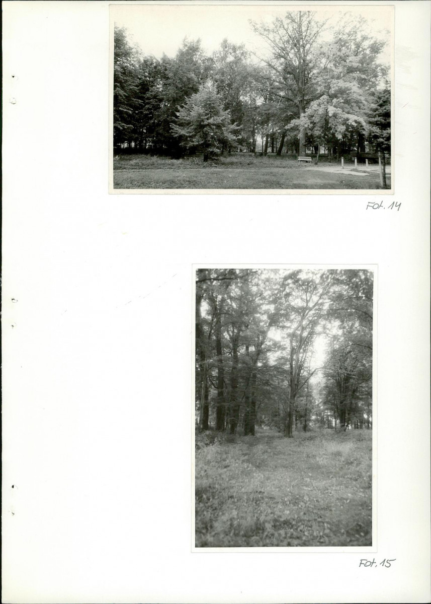 Ewidencja parkowa, skan nr 57