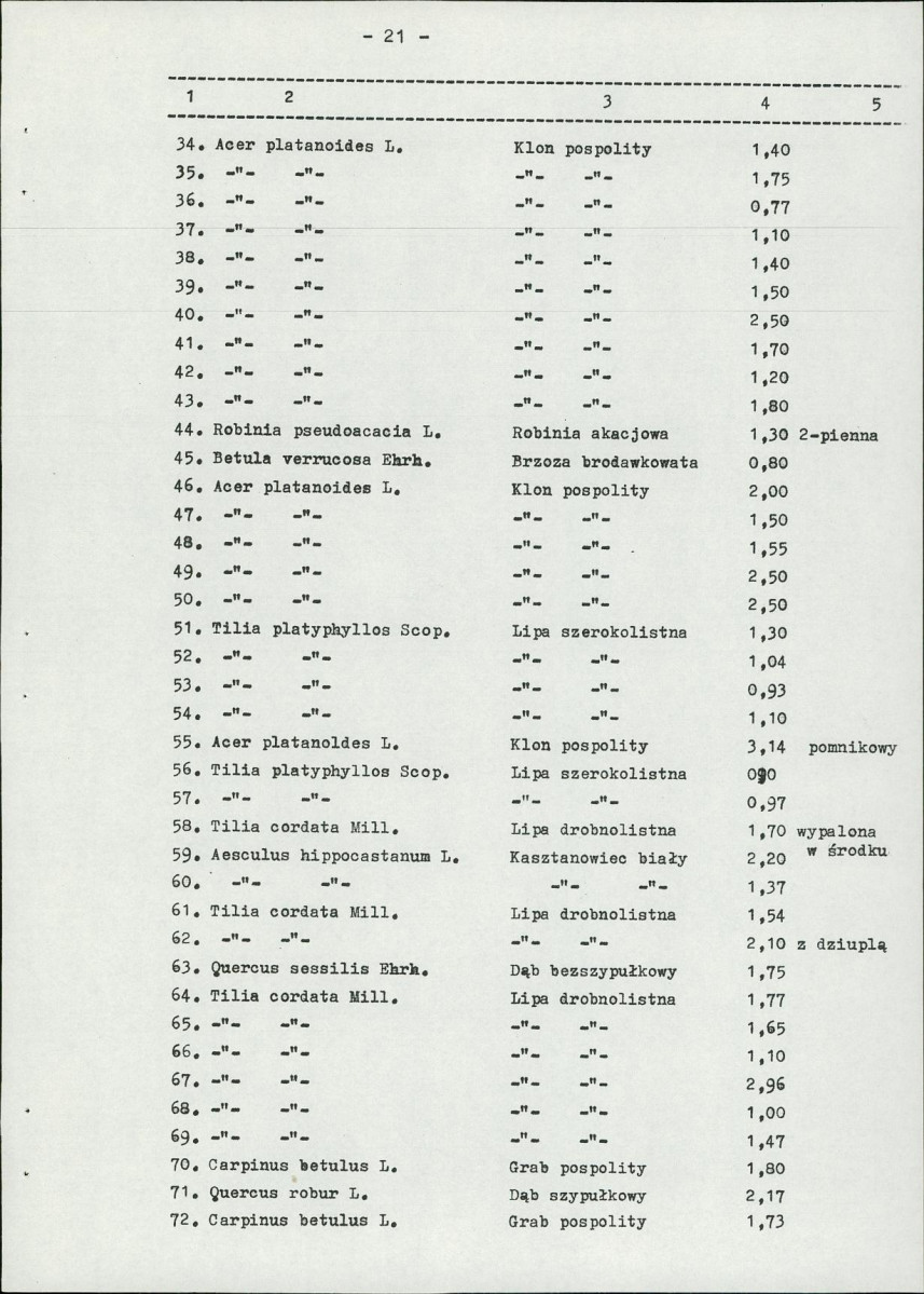 Ewidencja parkowa, skan nr 28