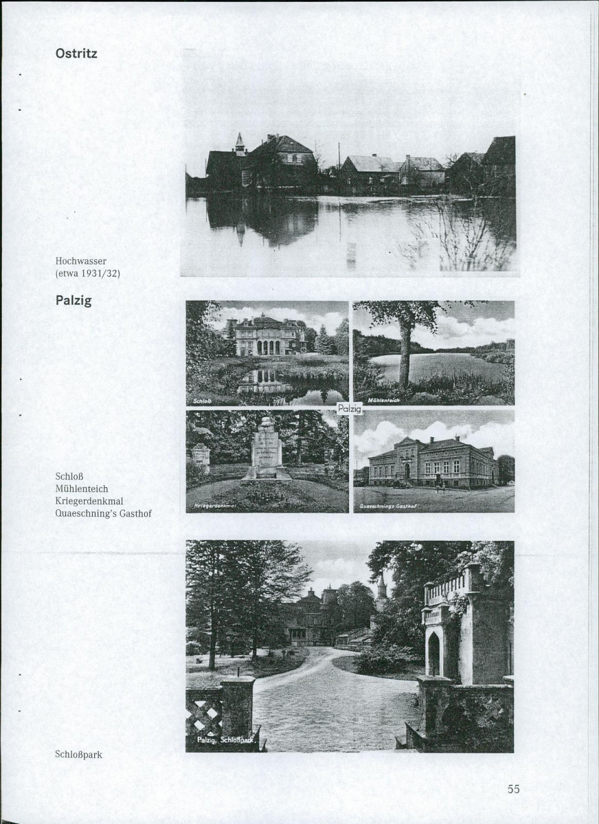 EP - Ewidencja parkowa, skan nr 13