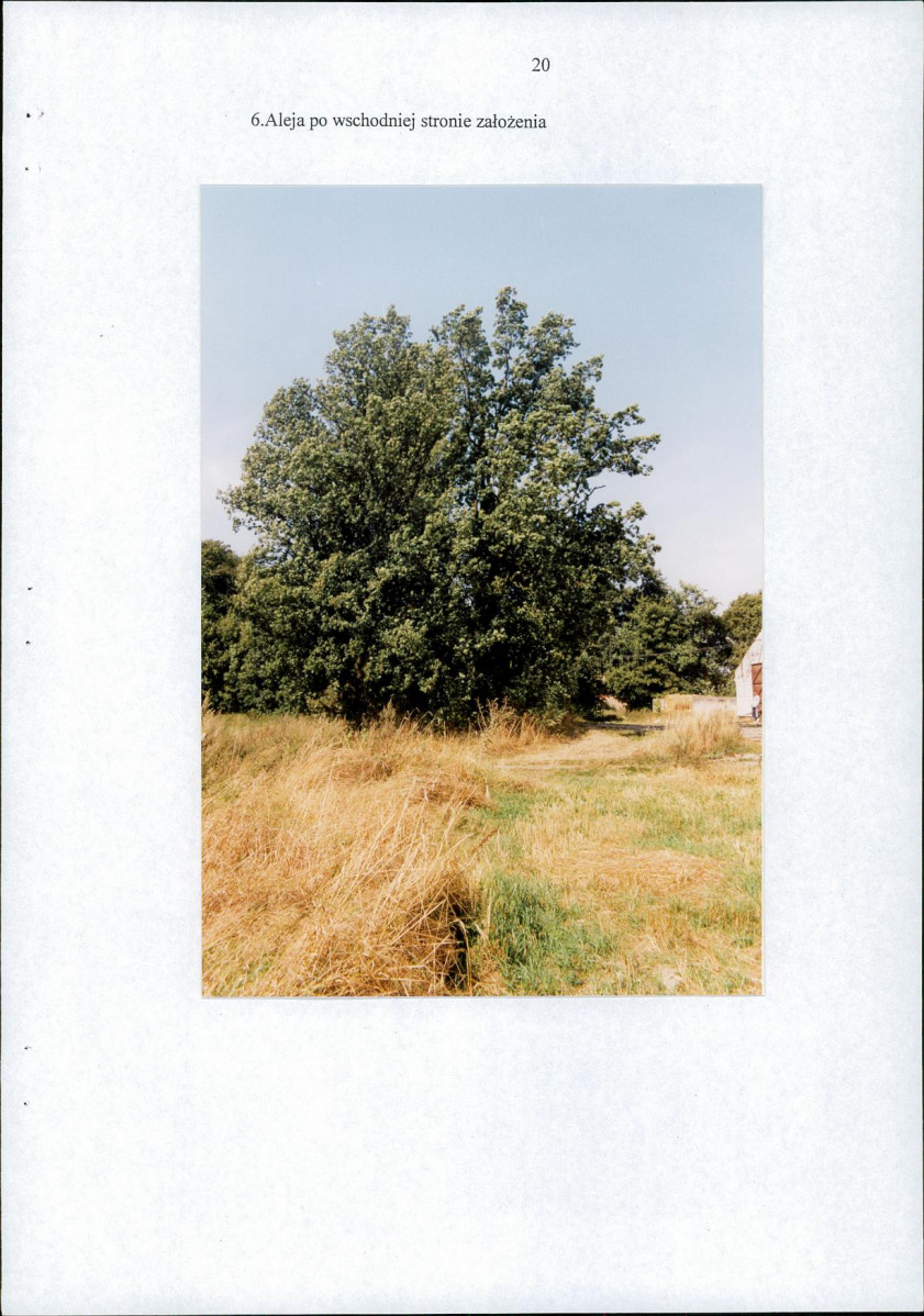 EP - Ewidencja parkowa, skan nr 31