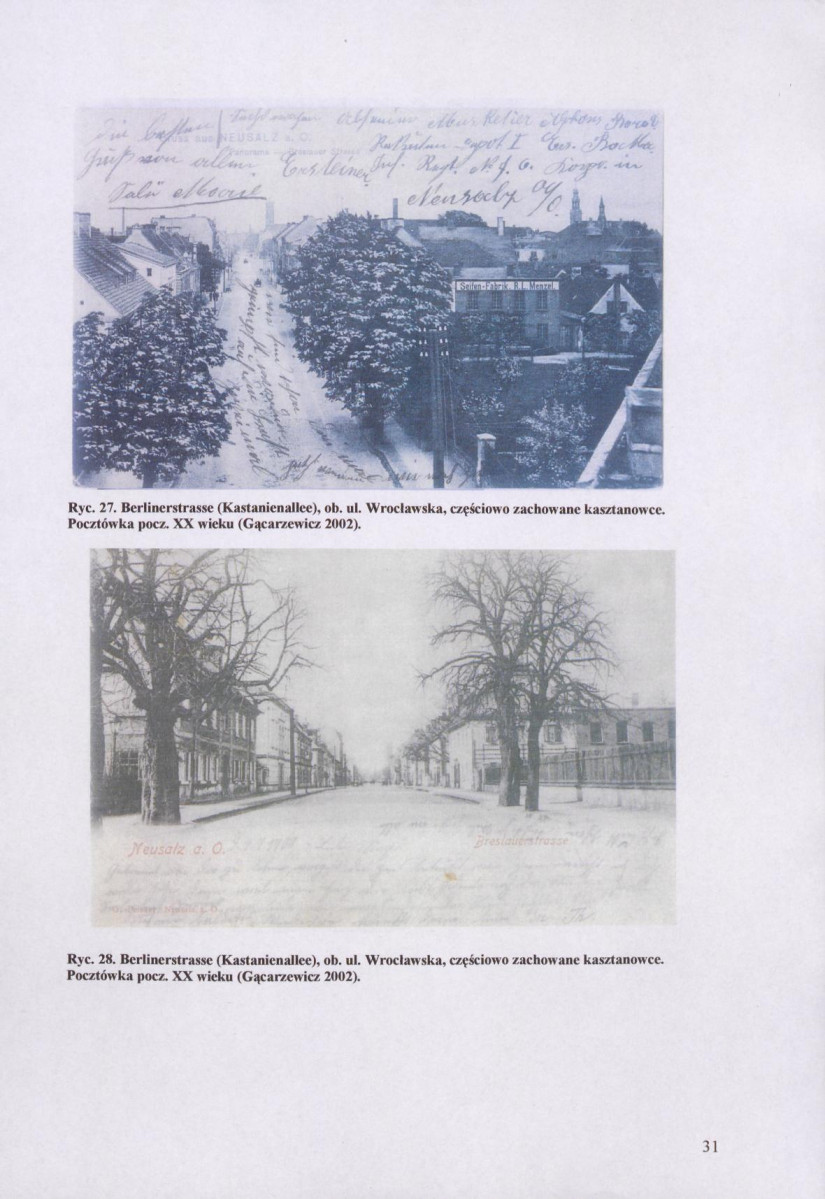 EP - Ewidencja parkowa, skan nr 33