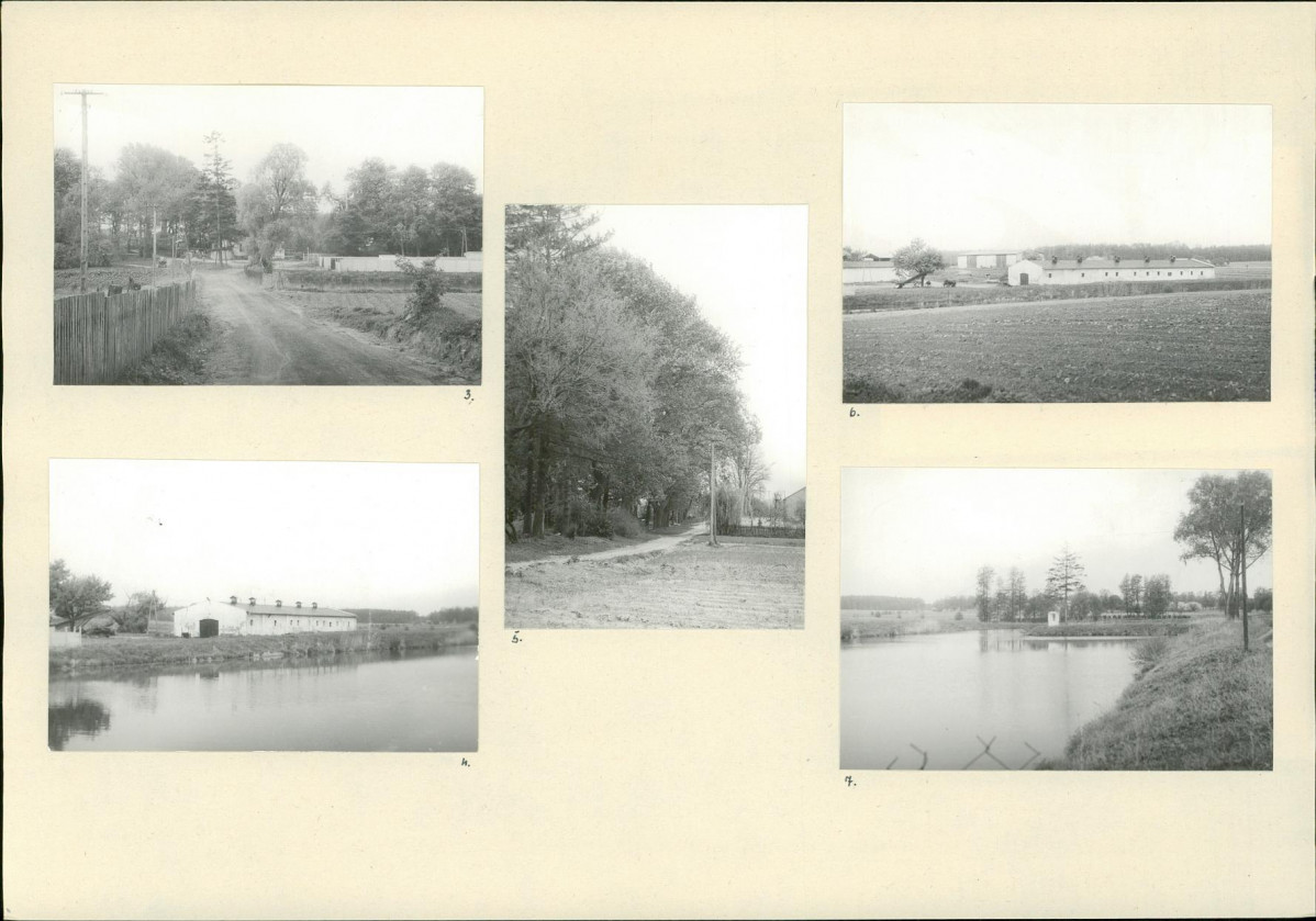 Karta biała, skan nr 6