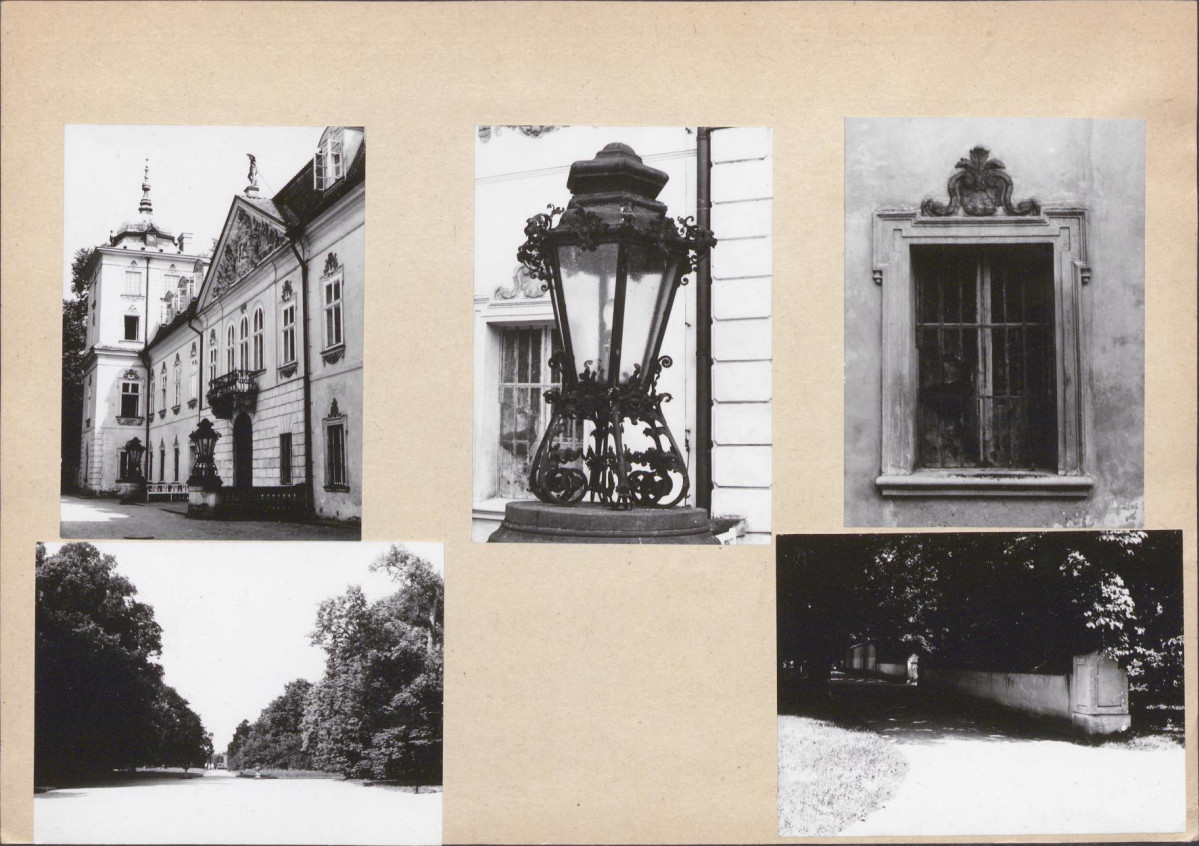 Karta biała, skan nr 6