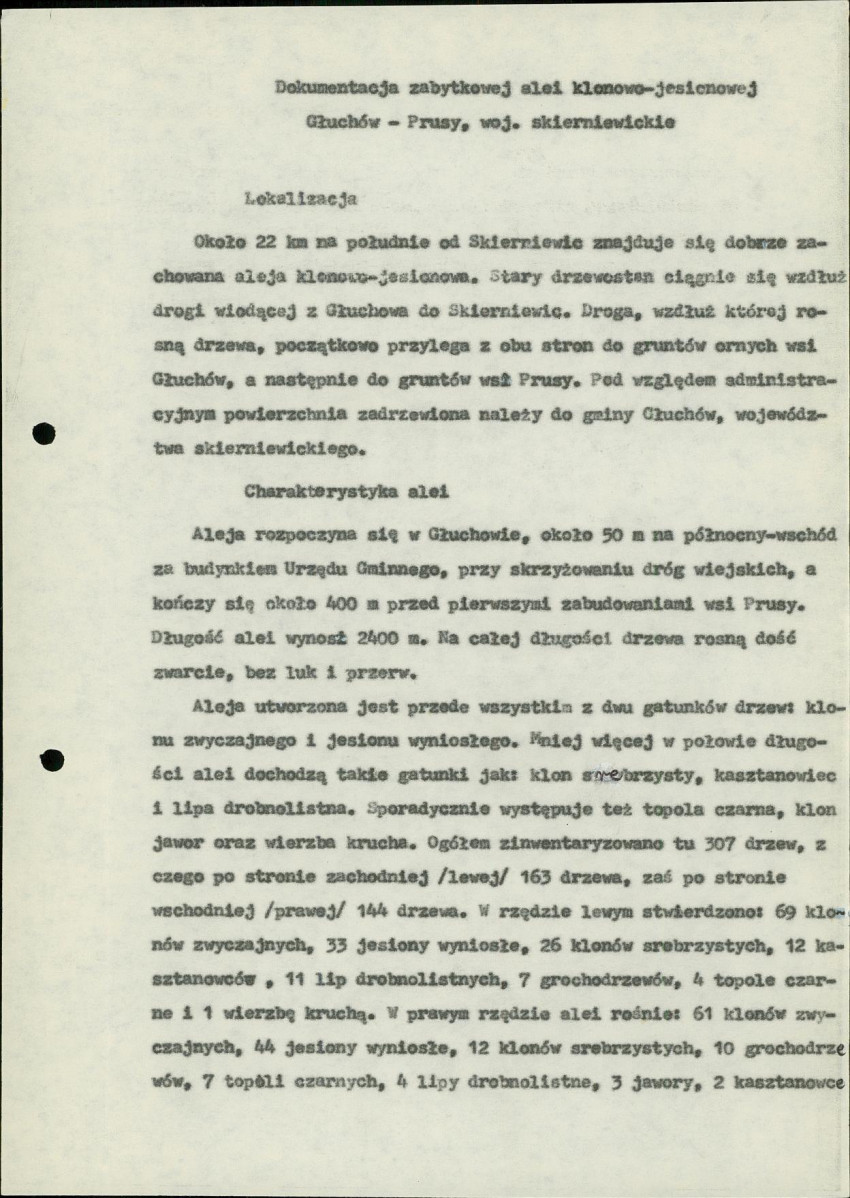 Ewidencja parkowa, skan nr 5