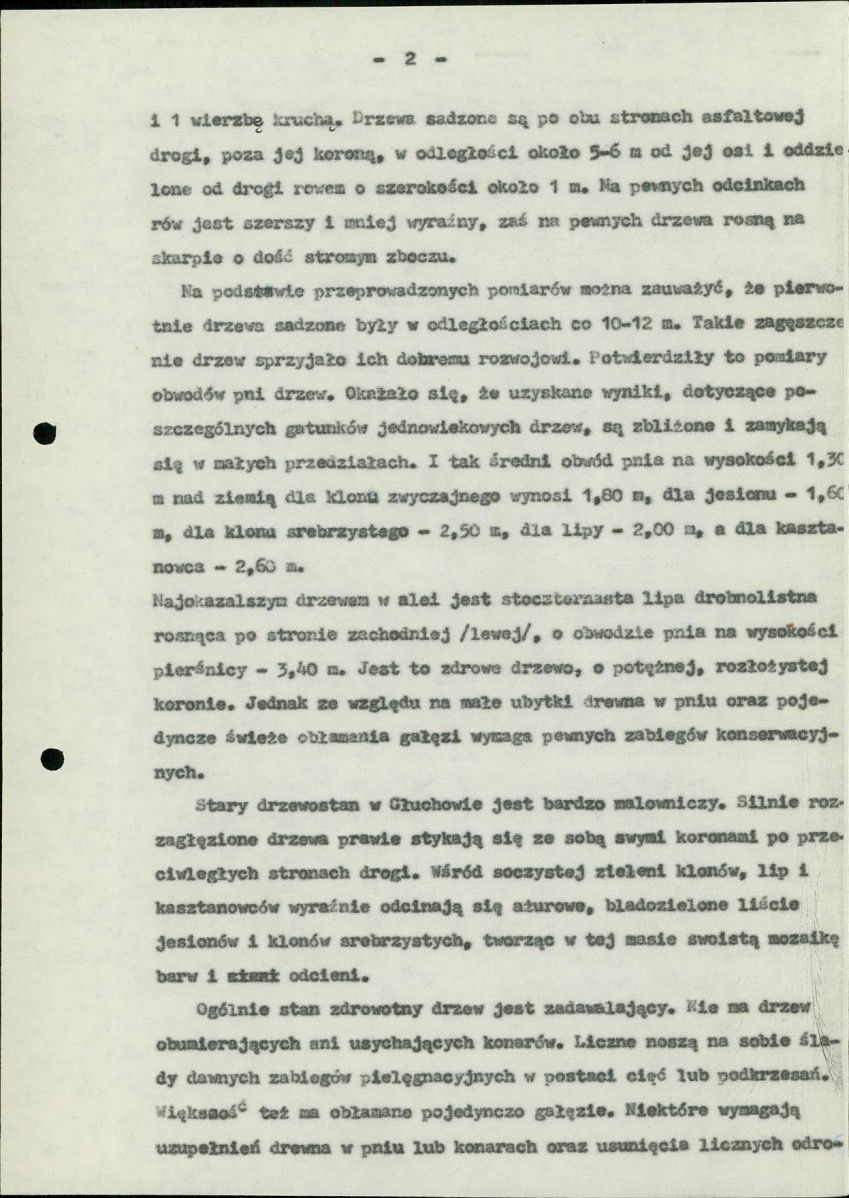 Ewidencja parkowa, skan nr 6