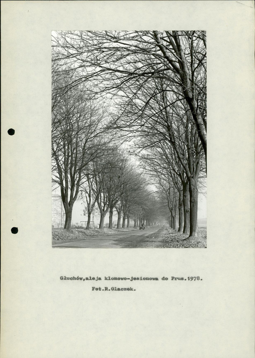 Ewidencja parkowa, skan nr 9