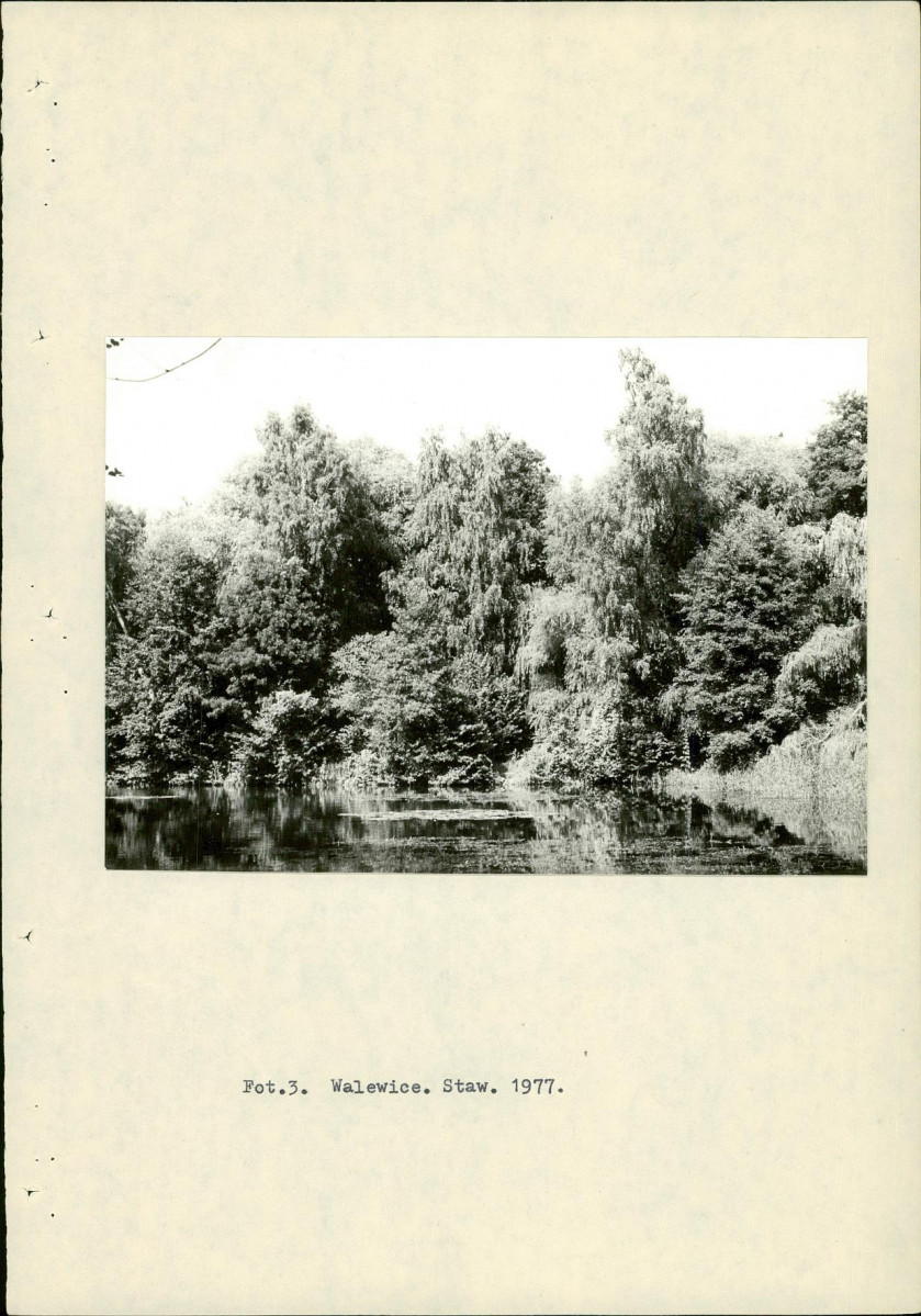 Ewidencja parkowa, skan nr 18