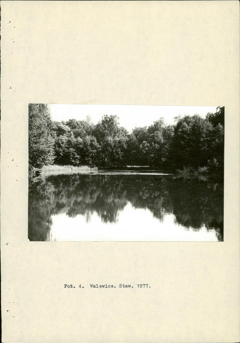 Ewidencja parkowa, skan nr 19