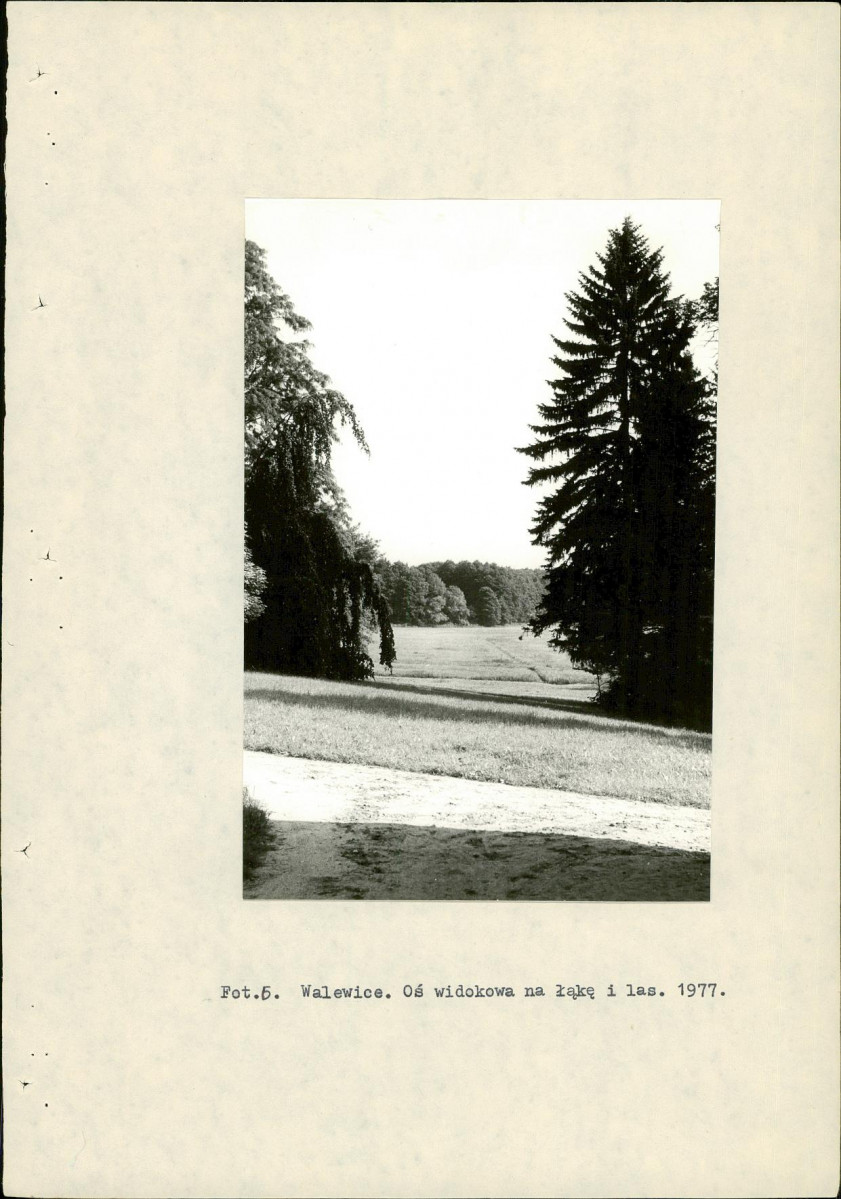 Ewidencja parkowa, skan nr 21