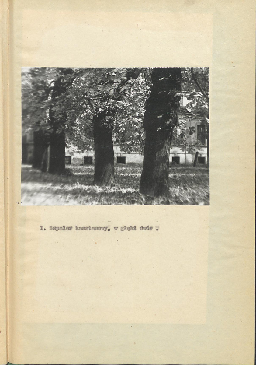 EP - Ewidencja parkowa, skan nr 18