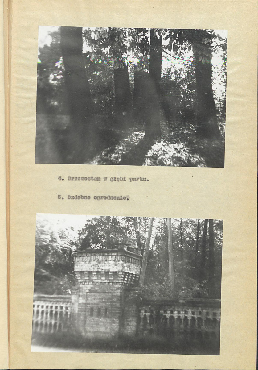 EP - Ewidencja parkowa, skan nr 20