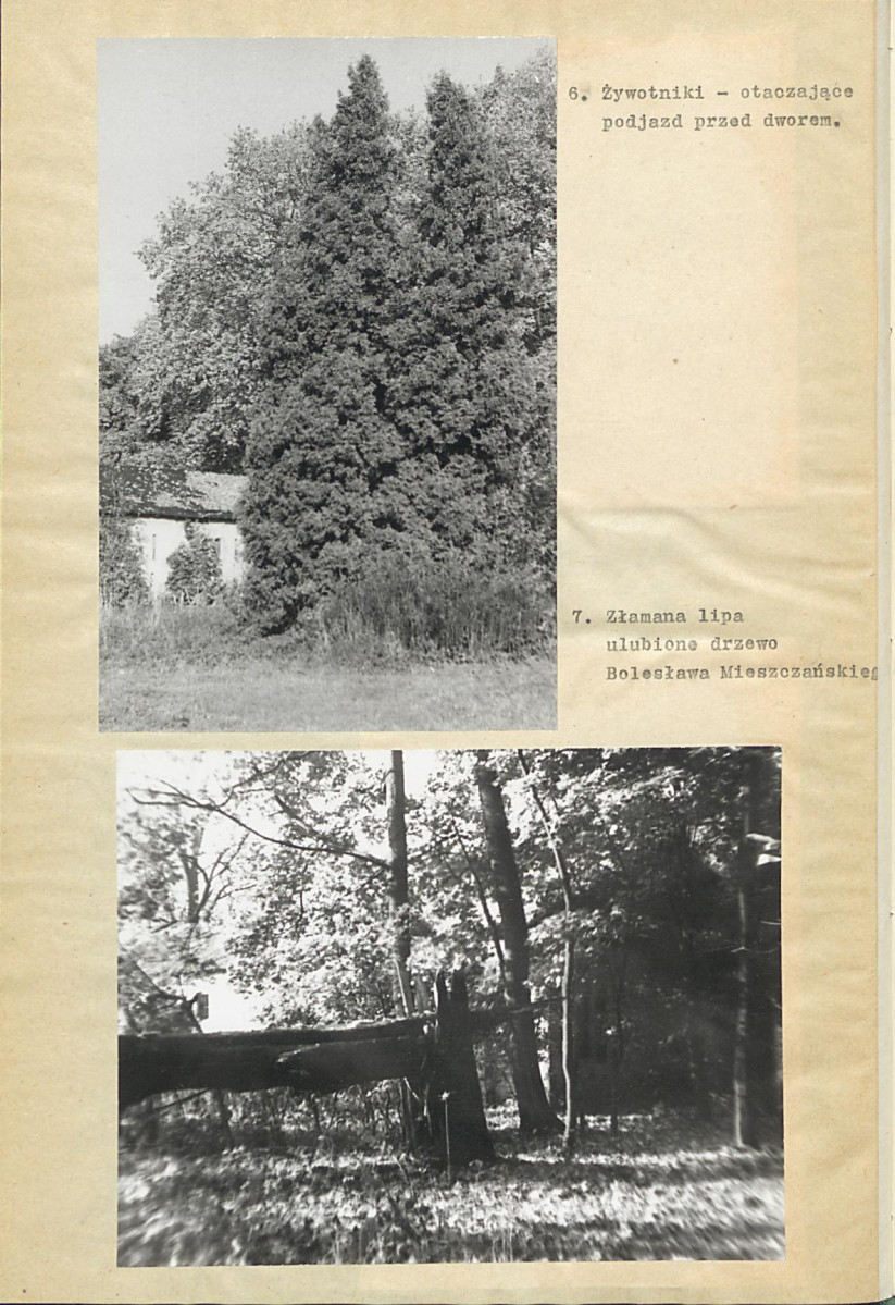 EP - Ewidencja parkowa, skan nr 20