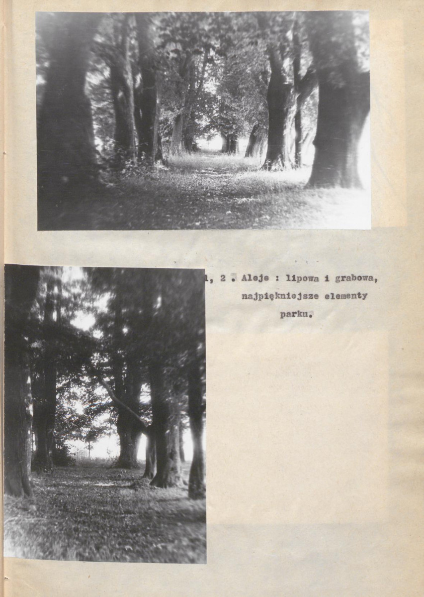 EP - Ewidencja parkowa, skan nr 20