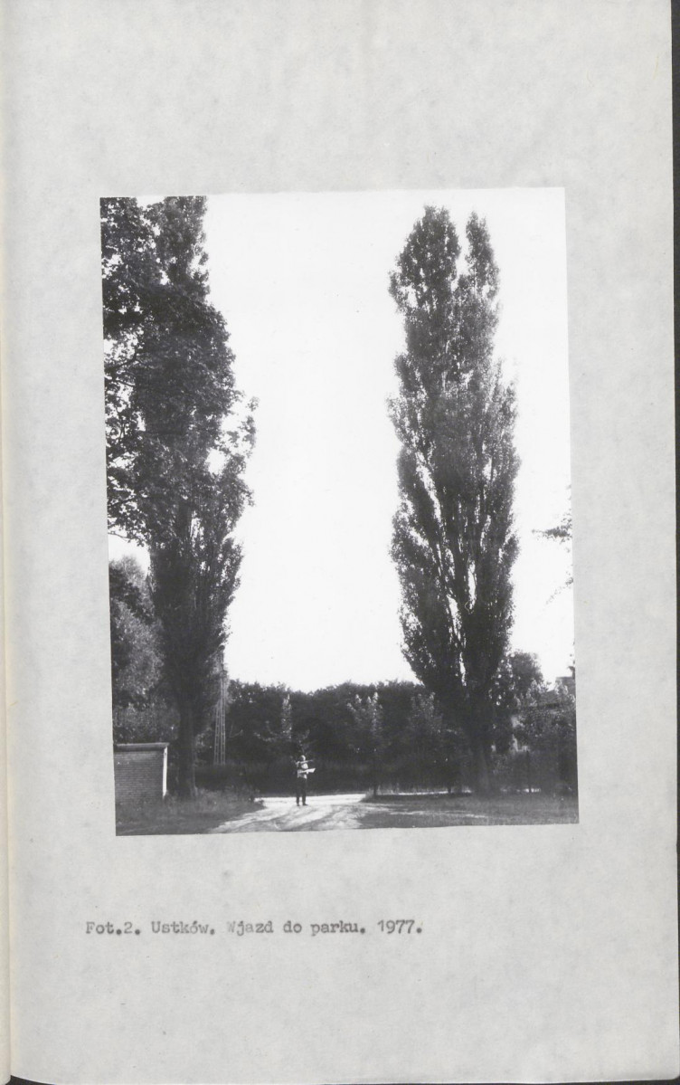 Ewidencja parkowa, skan nr 13