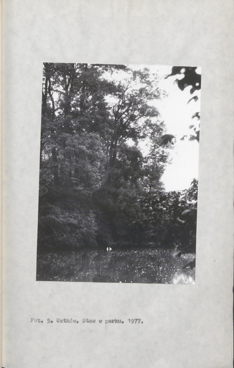 Ewidencja parkowa, skan nr 16