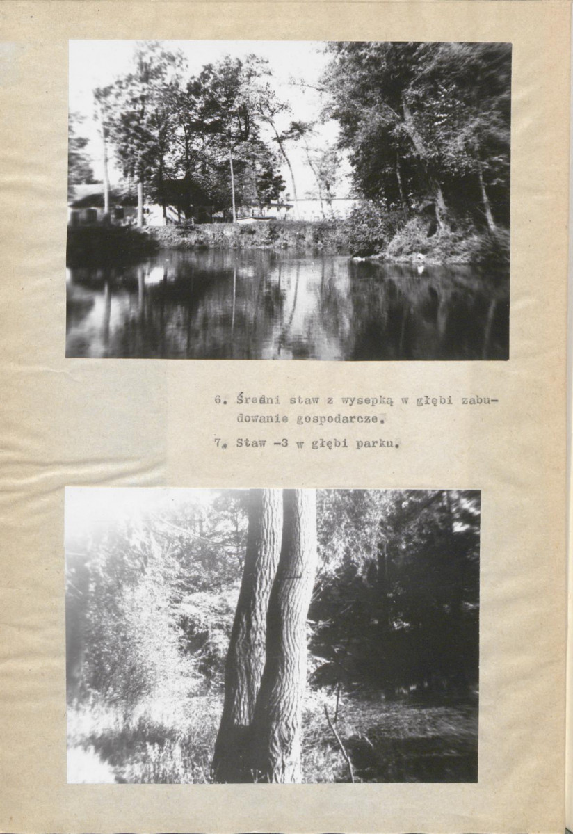 Ewidencja parkowa, skan nr 24