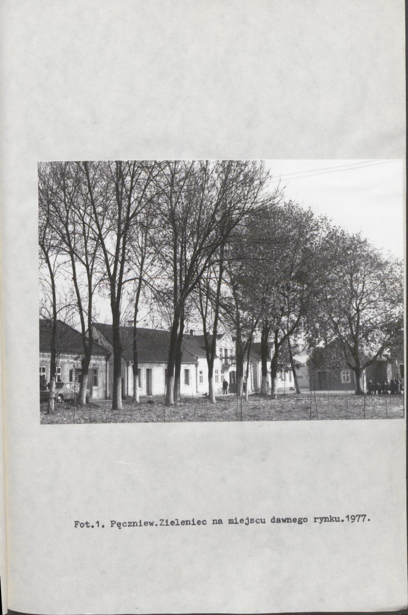 Ewidencja parkowa, skan nr 10