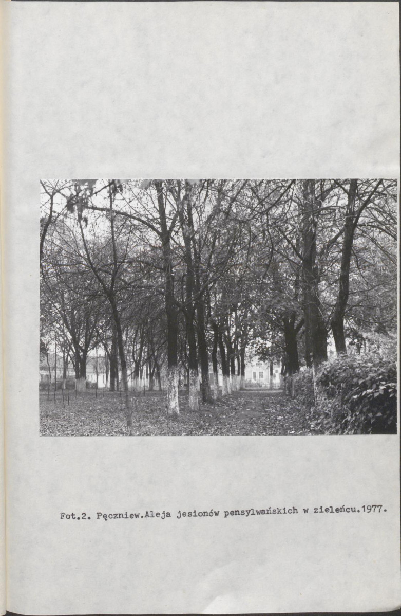 Ewidencja parkowa, skan nr 11